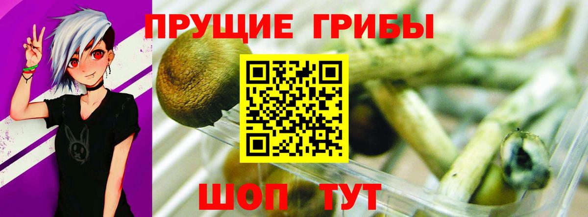 Псилоцибиновые грибы Psilocybe  Вход с VPN  Сегежа 